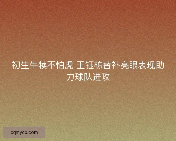 初生牛犊不怕虎 王钰栋替补亮眼表现助力球队进攻